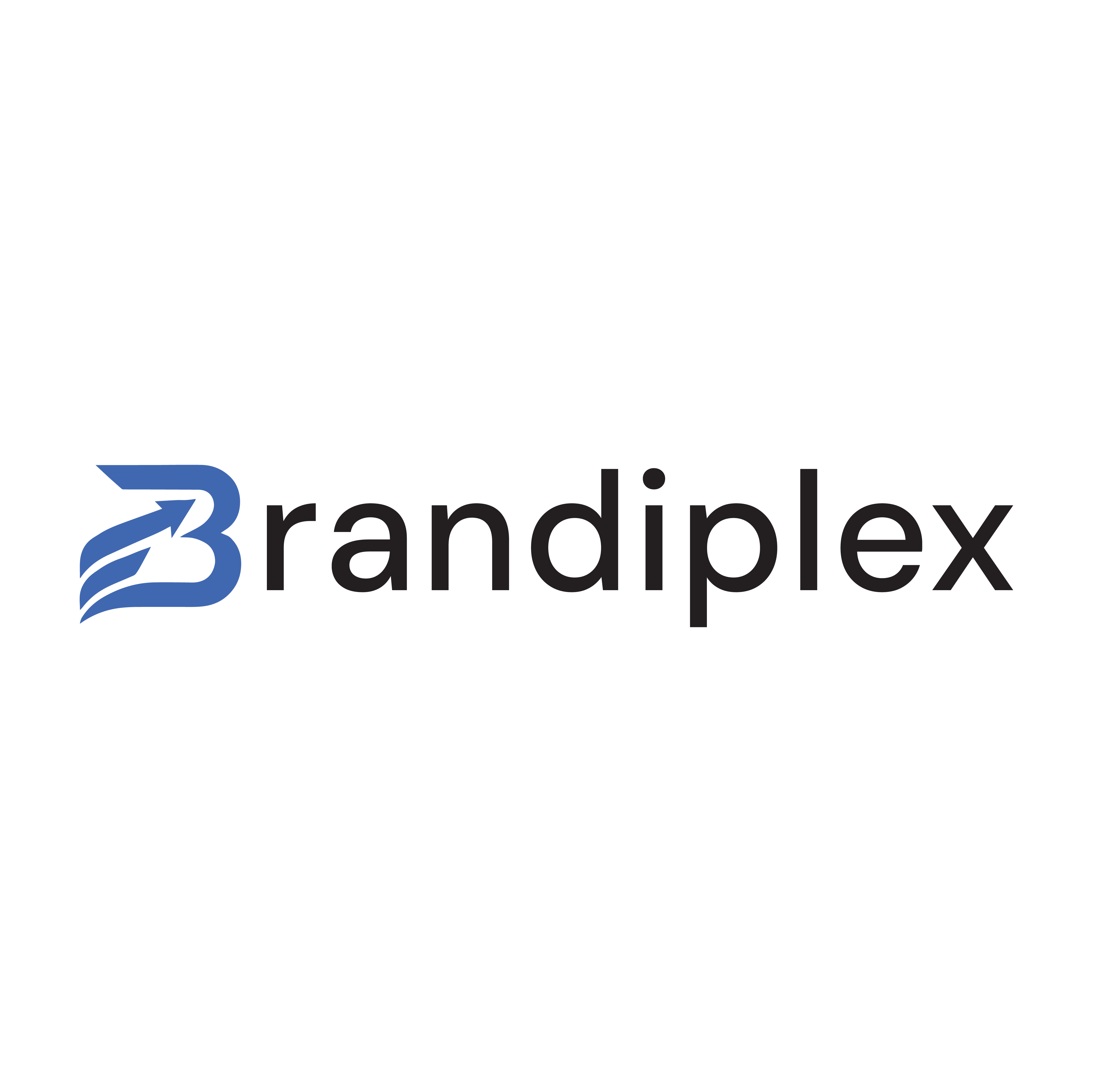 Logo Brandiplex